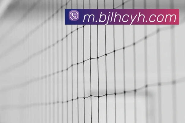 百家乐网站品牌故事