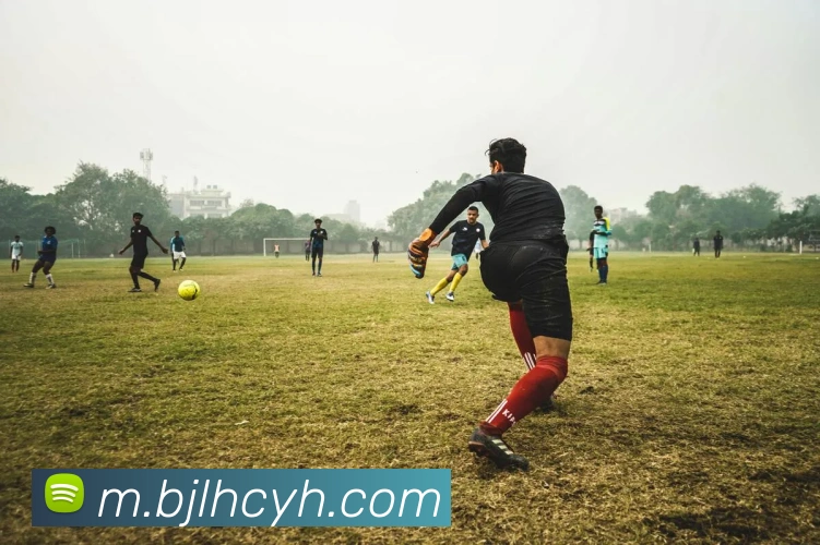 百家乐网站服务体系